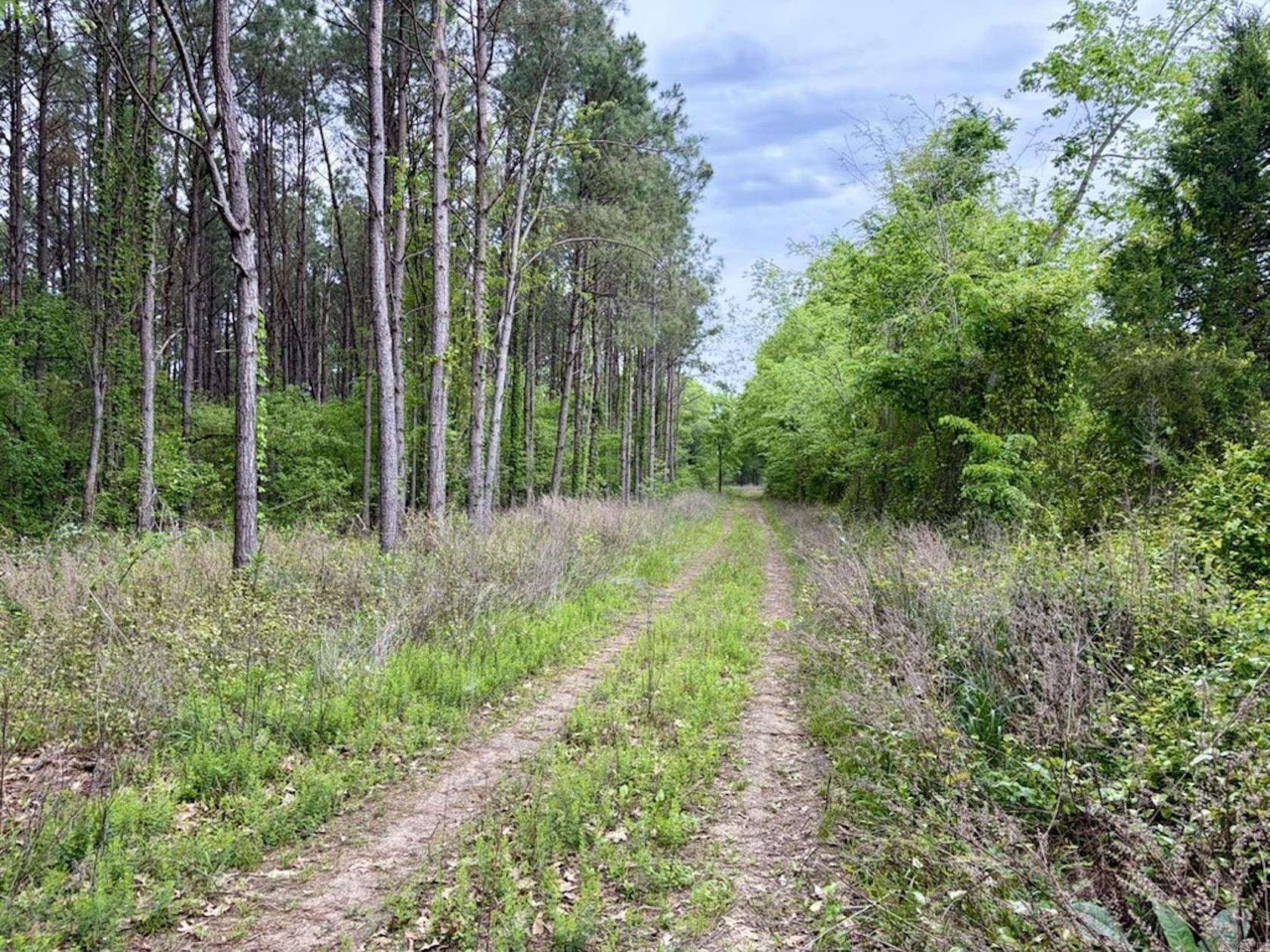 177 Acres of Recreational & Residential Land for Sale in Dardanelle, Arkansas