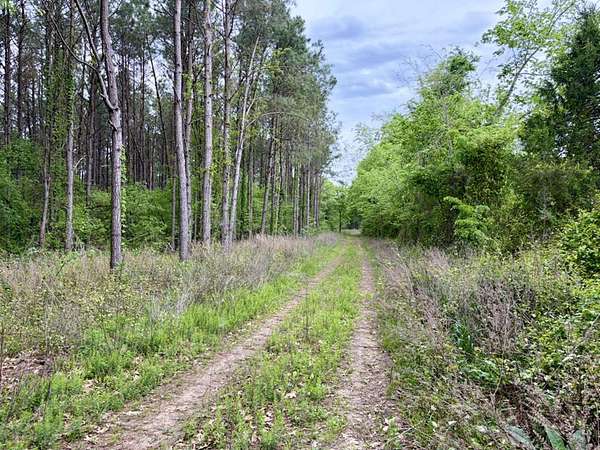 177 Acres of Recreational & Residential Land for Sale in Dardanelle, Arkansas