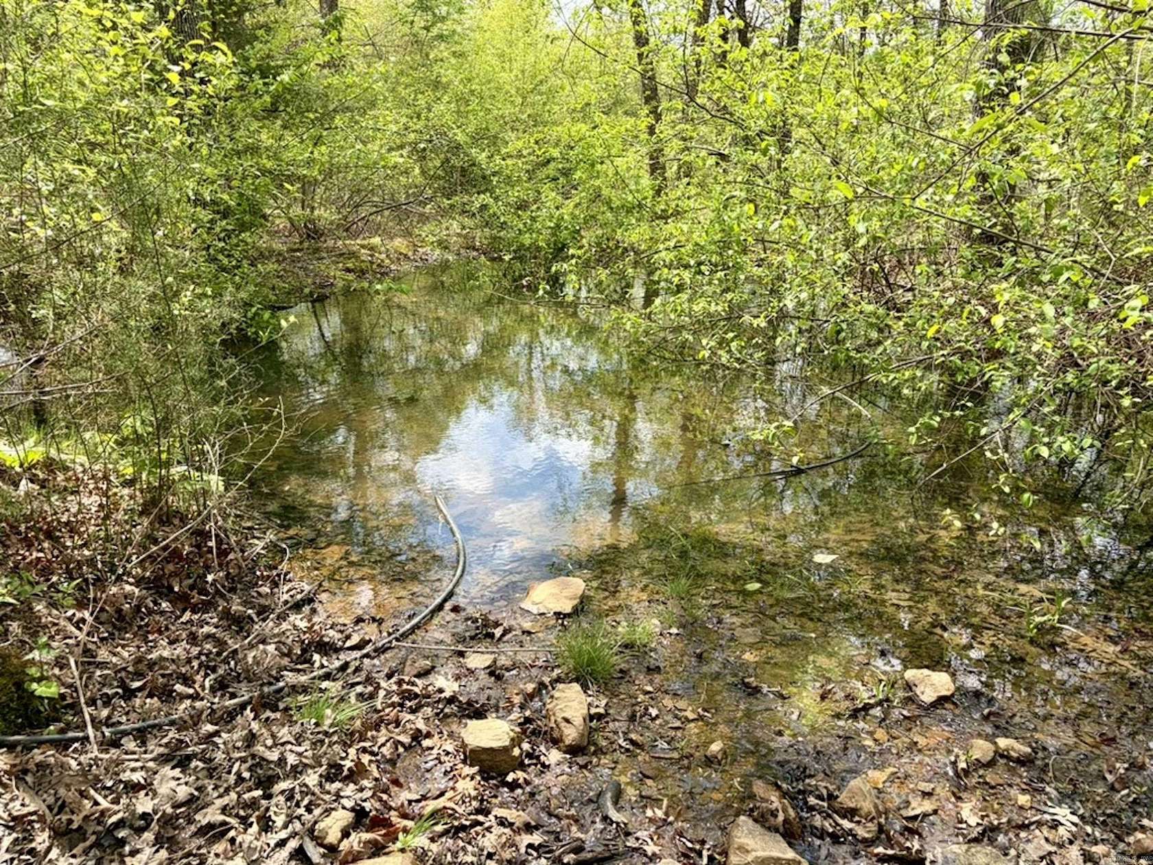48.9 Acres of Recreational Land for Sale in Scotland, Arkansas