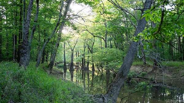 400 Acres of Land for Sale in Beebe, Arkansas