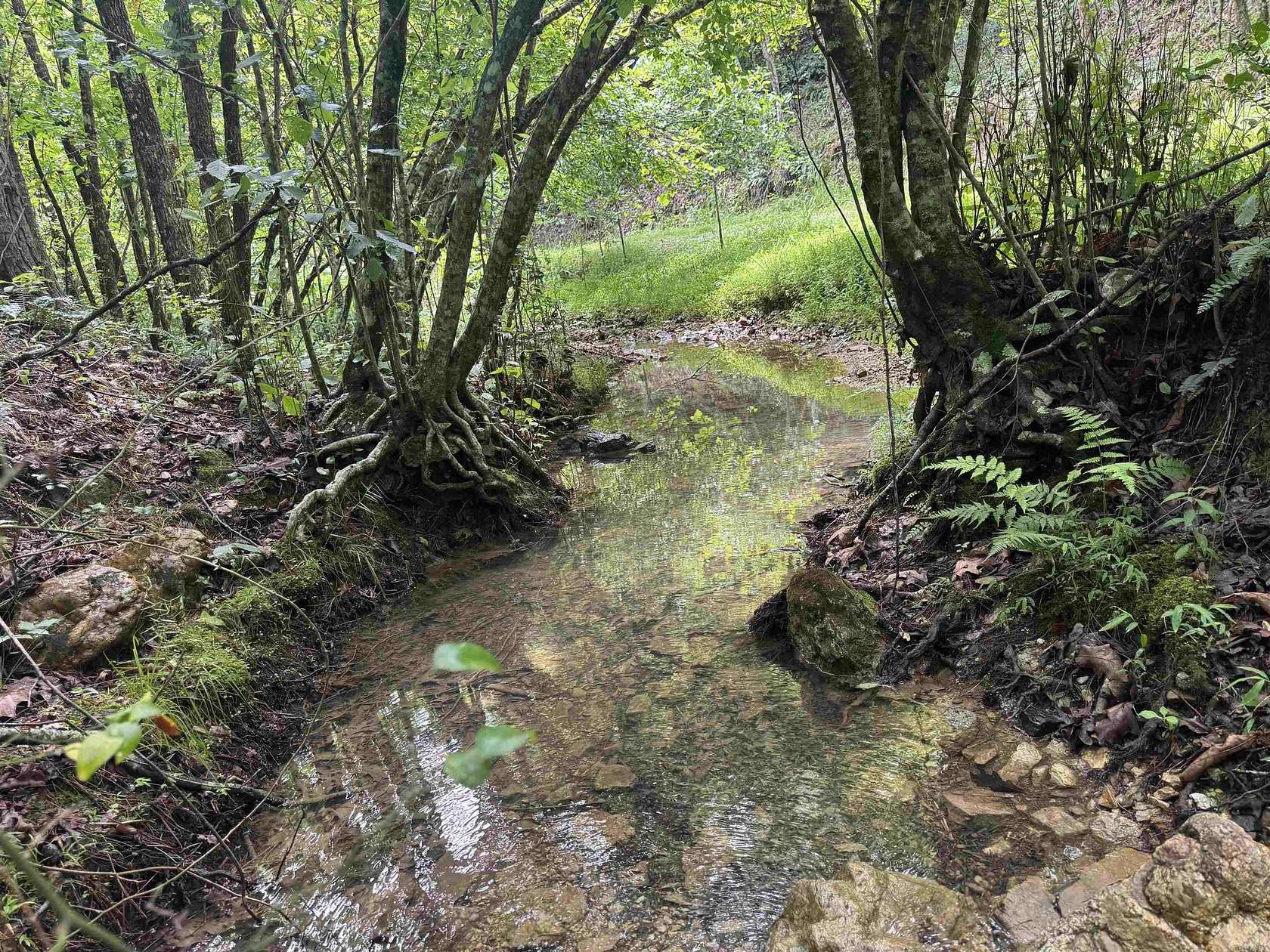 23 Acres of Recreational Land for Sale in Glenwood, Arkansas
