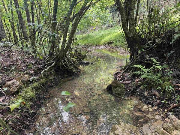 23 Acres of Recreational Land for Sale in Glenwood, Arkansas