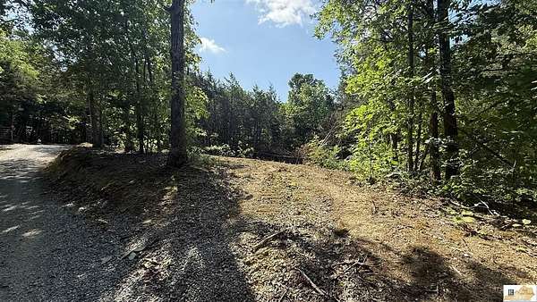 14 Acres of Recreational & Residential Land for Sale in Burkesville, Kentucky