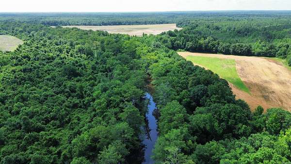 240 Acres of Recreational Land for Sale in Star City, Arkansas