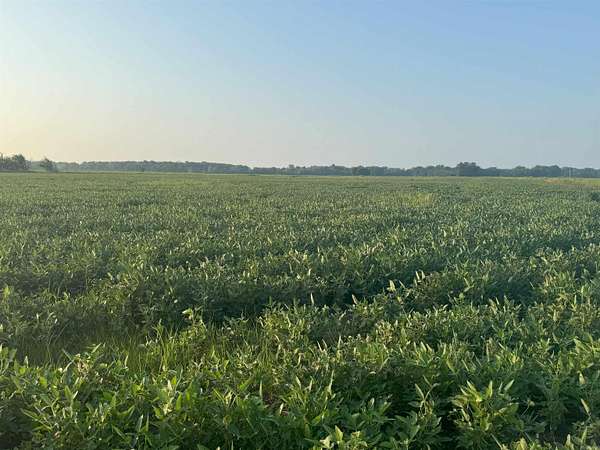 64 Acres of Recreational Land for Sale in England, Arkansas