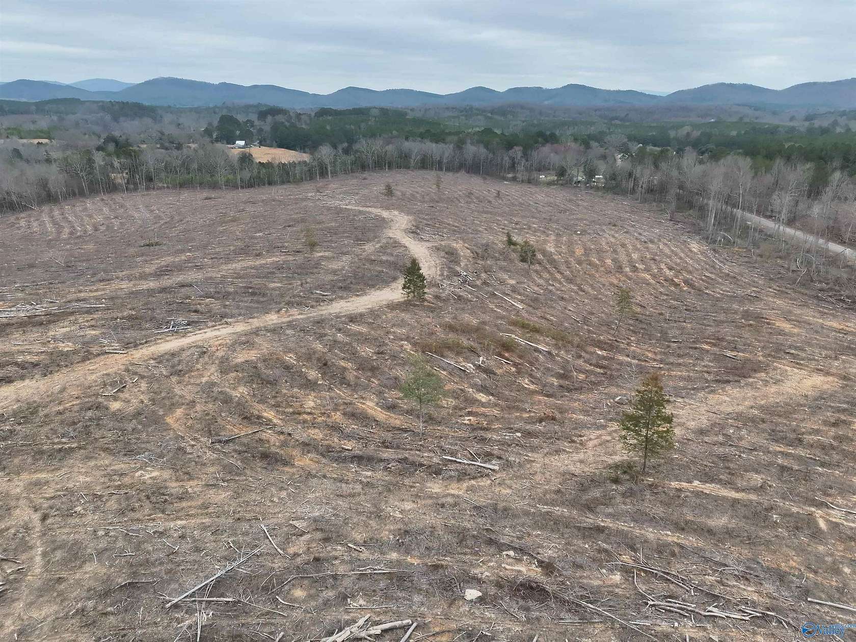 79.7 Acres of Recreational & Residential Land for Sale in Cedar Bluff, Alabama