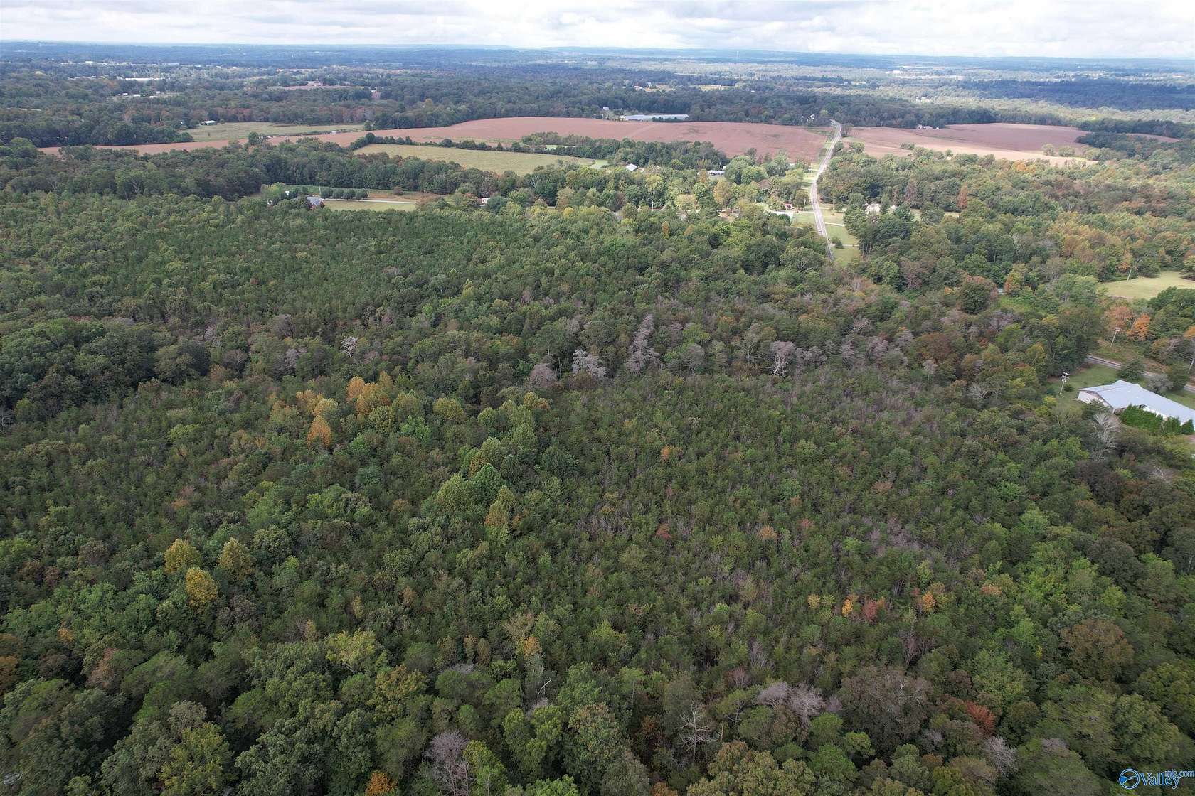 29.6 Acres of Recreational & Residential Land for Sale in Flat Rock, Alabama