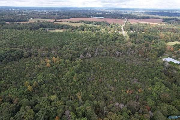 29.6 Acres of Recreational & Residential Land for Sale in Flat Rock, Alabama