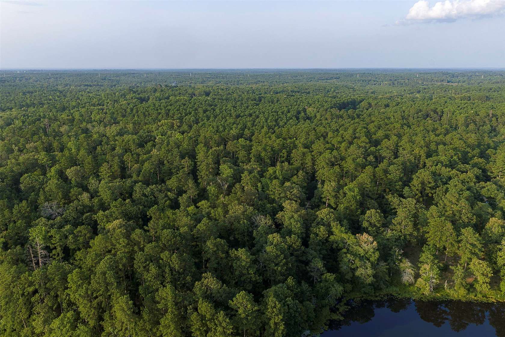 81 Acres of Recreational Land for Sale in Tatum, Texas
