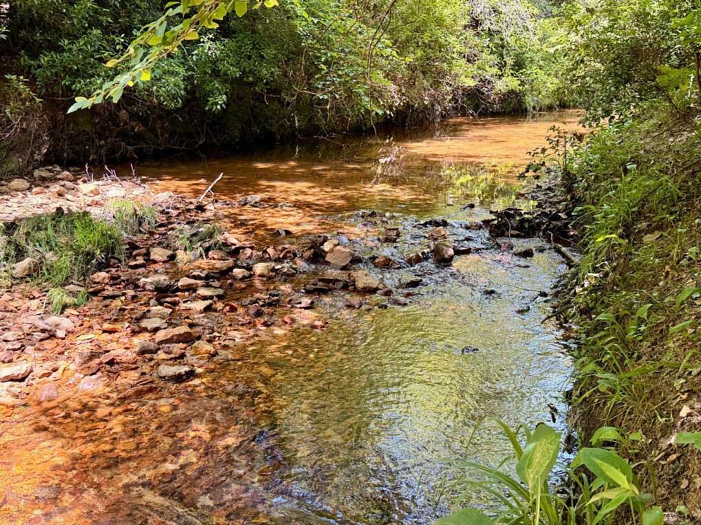 500 Acres of Recreational Land for Sale in Ararat, Alabama