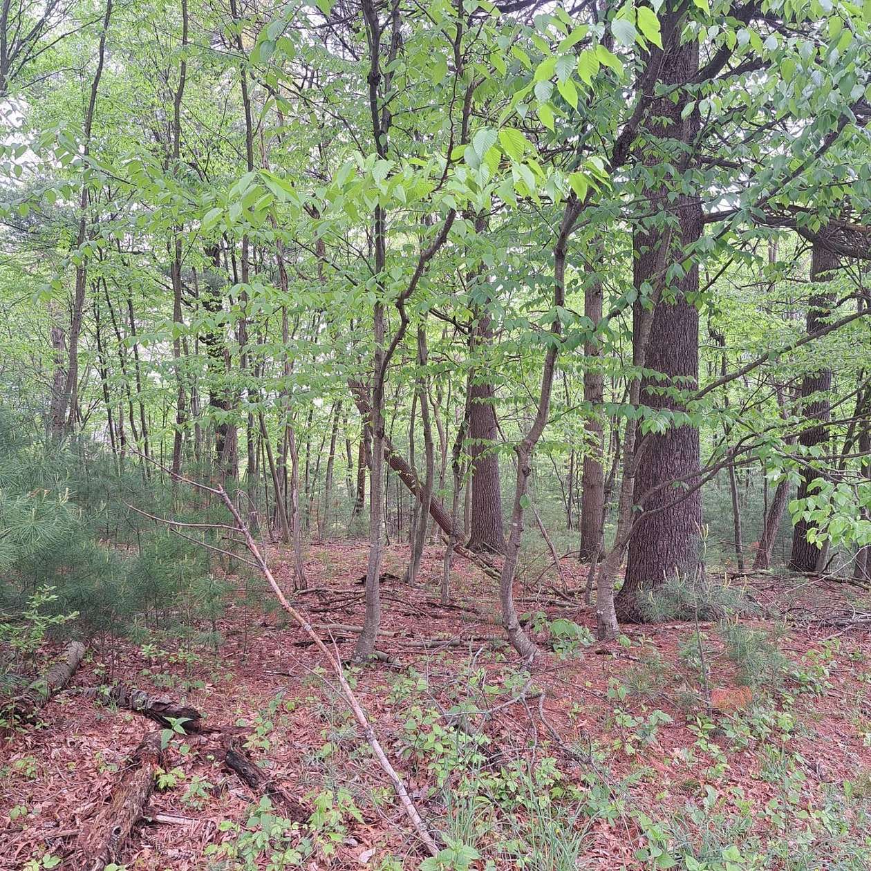 1.39 Acres of Residential Land for Sale in Huntingdon, Pennsylvania