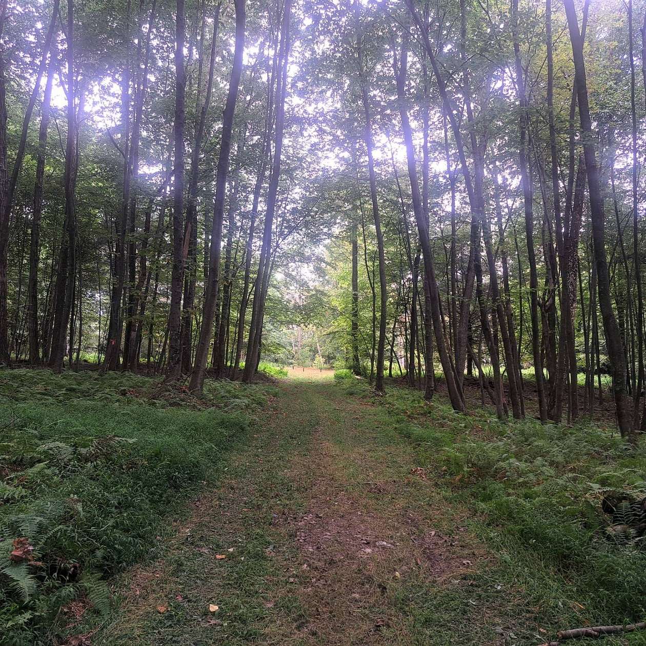 6.2 Acres of Land for Sale in Bellefonte, Pennsylvania