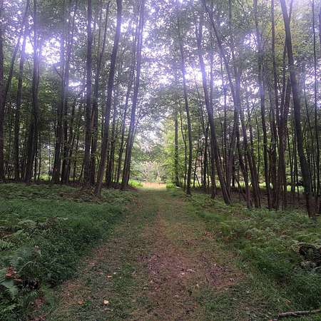 6.2 Acres of Land for Sale in Bellefonte, Pennsylvania