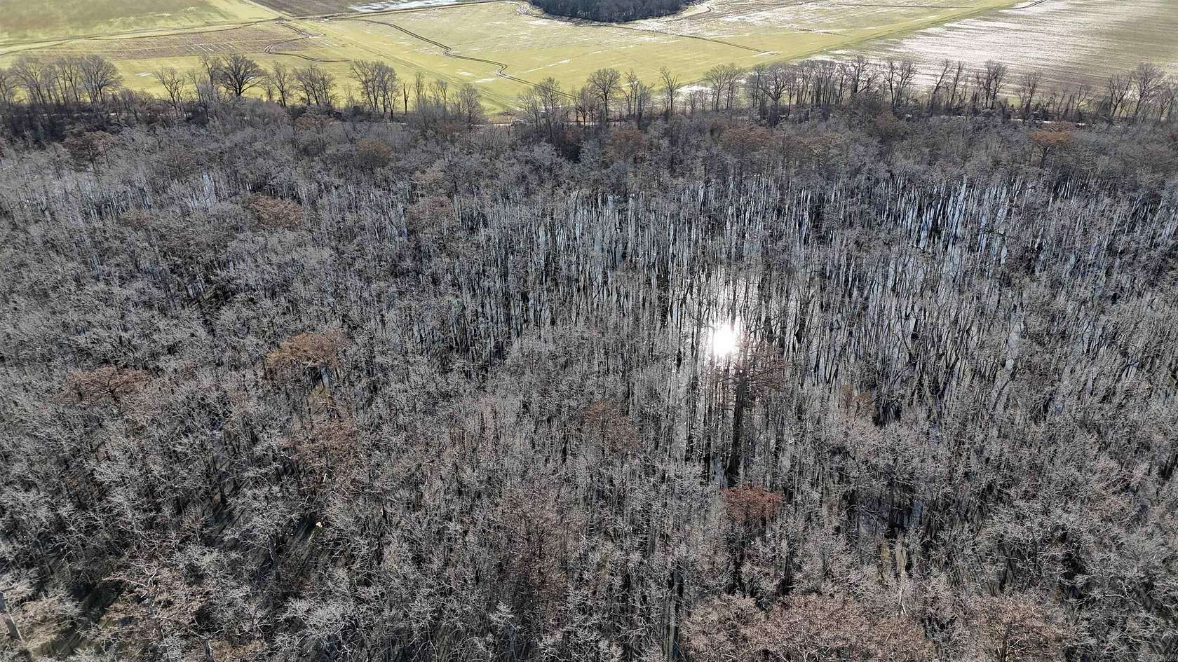 233 Acres of Land for Sale in Marvell, Arkansas