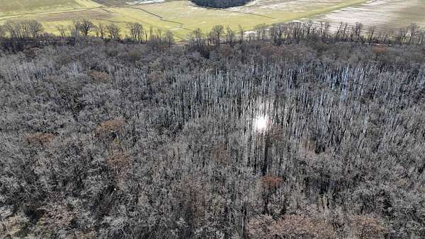 233 Acres of Land for Sale in Marvell, Arkansas