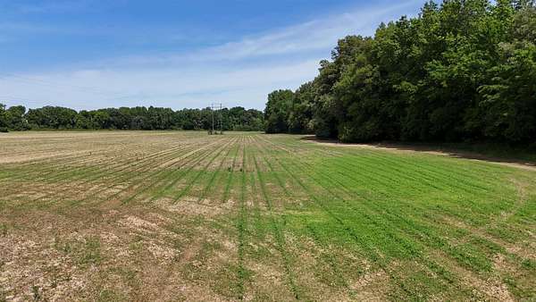 160 Acres of Land for Sale in Lexa, Arkansas