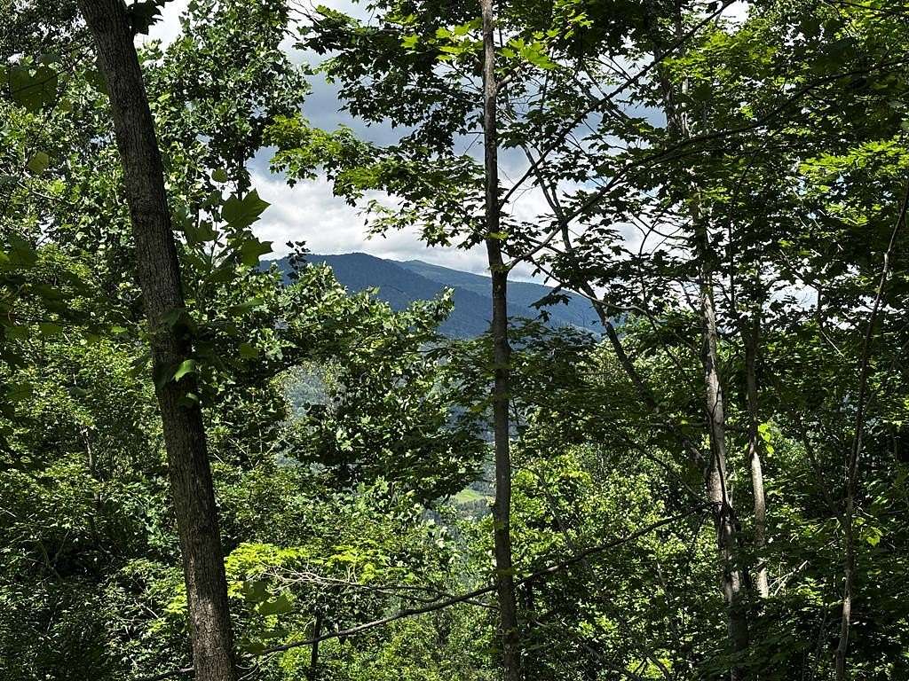 0.88 Acres of Residential Land for Sale in New Hope Township, North Carolina