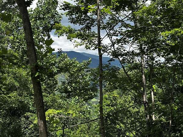 0.88 Acres of Residential Land for Sale in New Hope Township, North Carolina
