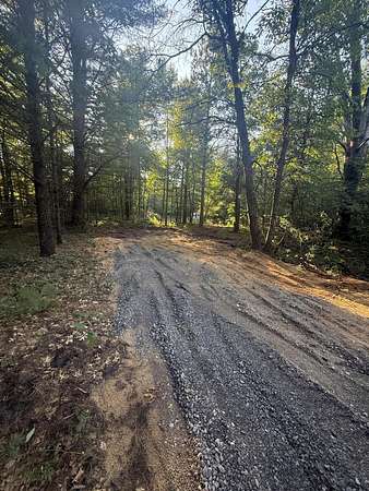 5 Acres of Residential Land for Sale in Alger, Michigan