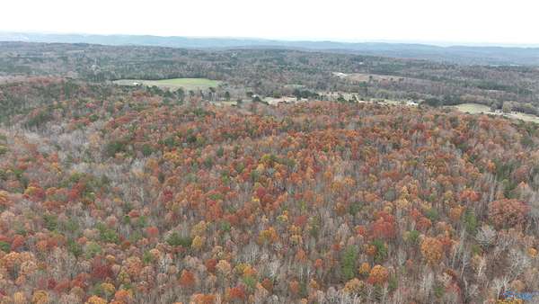 279 Acres of Recreational & Residential Land for Sale in Boaz, Alabama