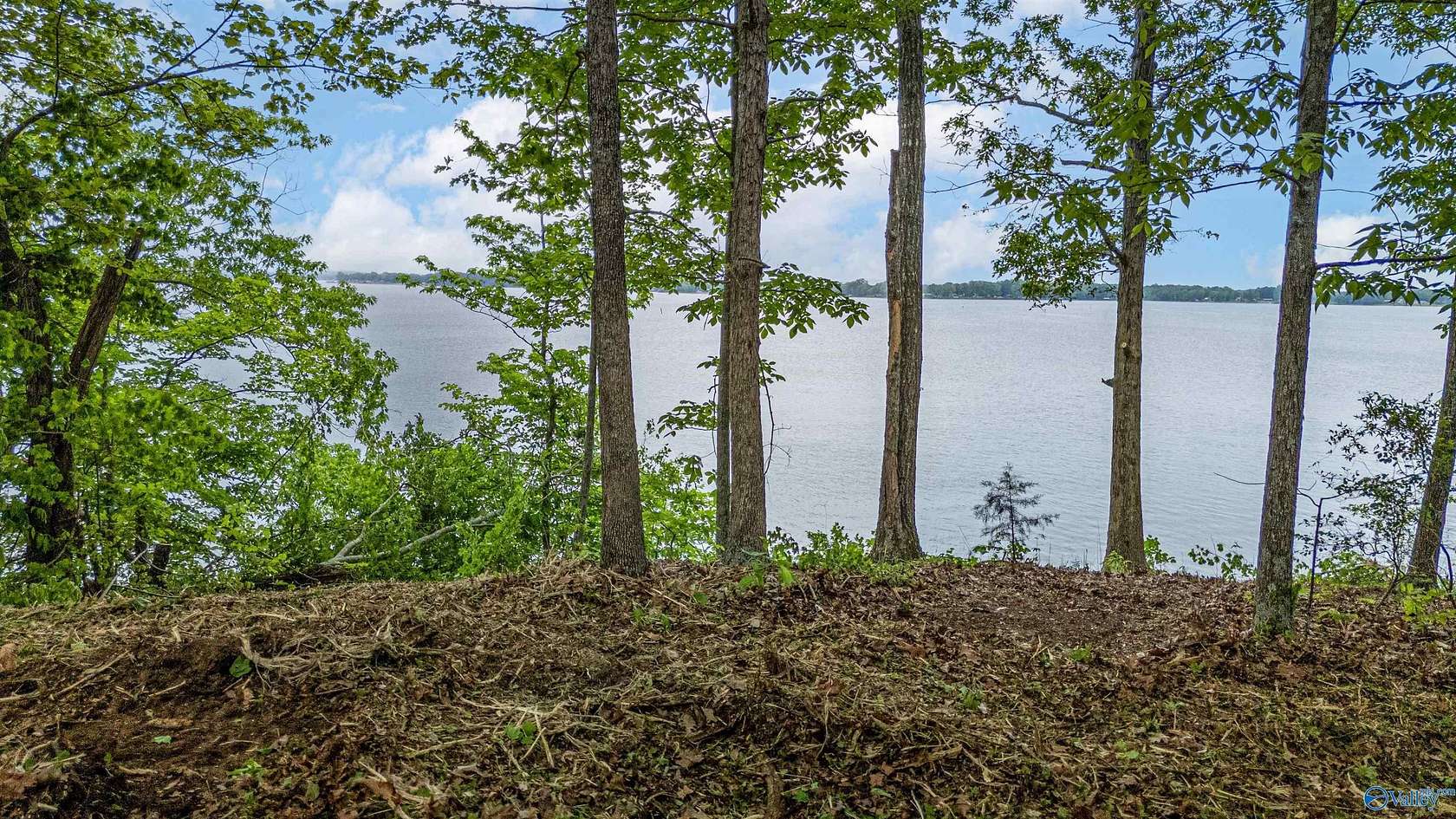 1 Acre of Land for Sale in Centre, Alabama
