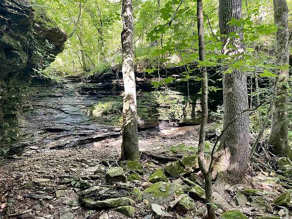 164 Acres of Recreational Land for Sale in Edgemont, Arkansas