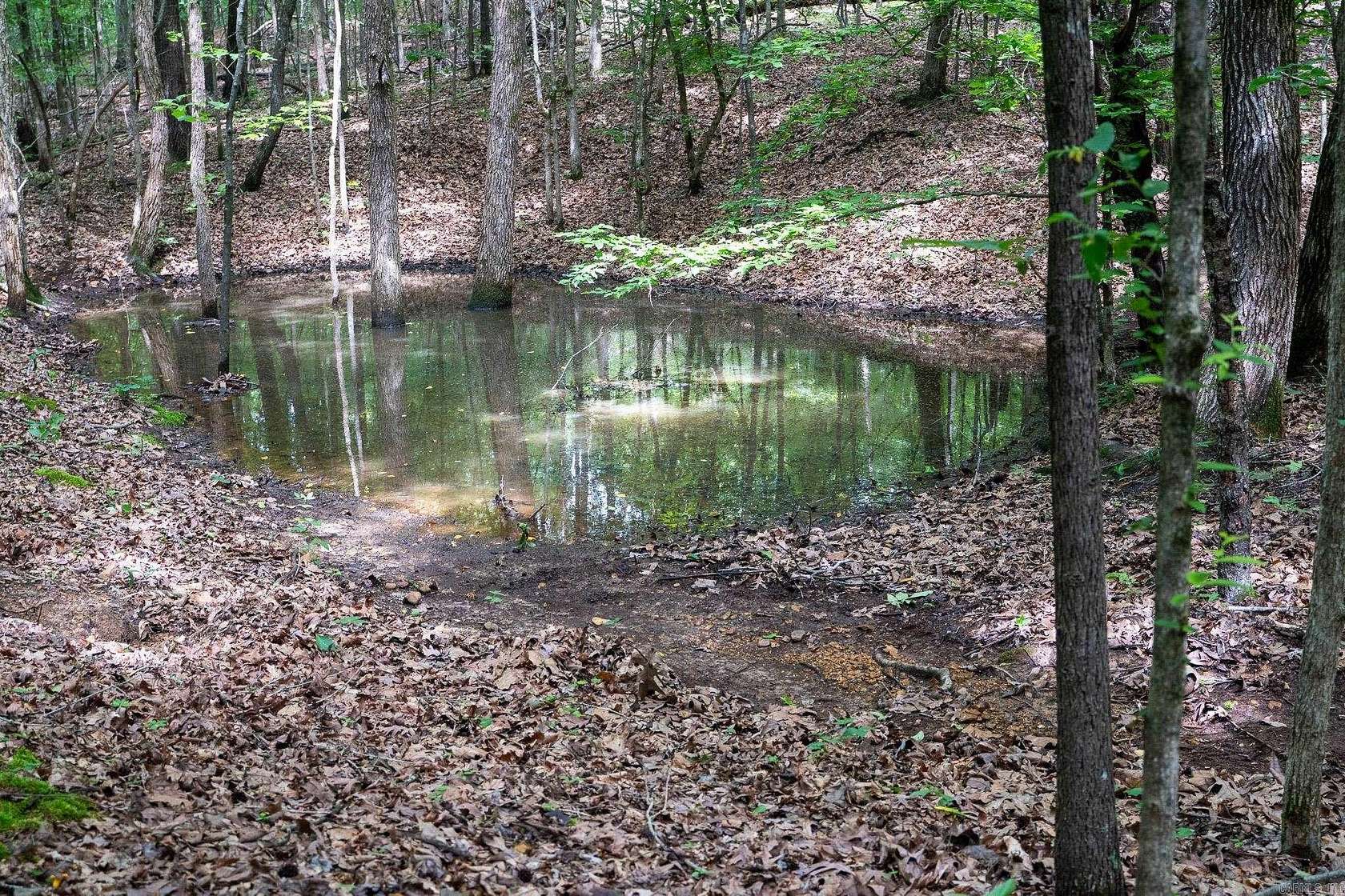 60.8 Acres of Recreational & Residential Land for Sale in Harrisburg, Arkansas