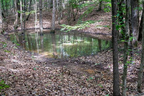 60.8 Acres of Recreational & Residential Land for Sale in Harrisburg, Arkansas