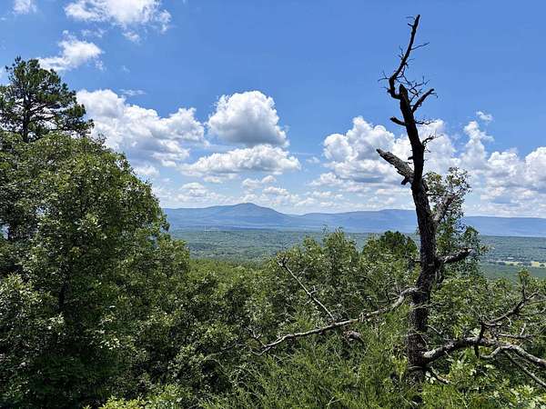 160 Acres of Recreational Land for Sale in Havana, Arkansas