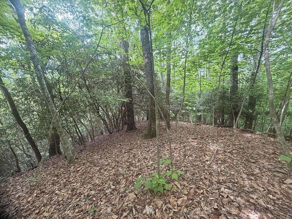 1.37 Acres of Land for Sale in Franklin, North Carolina
