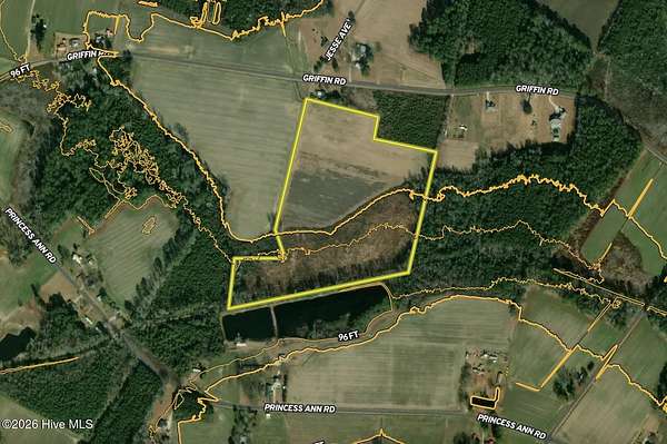 31.7 Acres of Land for Sale in Chadbourn, North Carolina