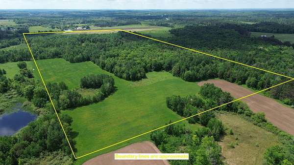 80 Acres of Land for Sale in Gleason, Wisconsin