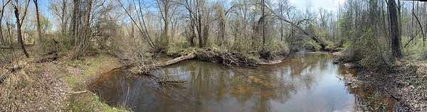 31.1 Acres of Recreational & Residential Land for Sale in Ashland, Virginia