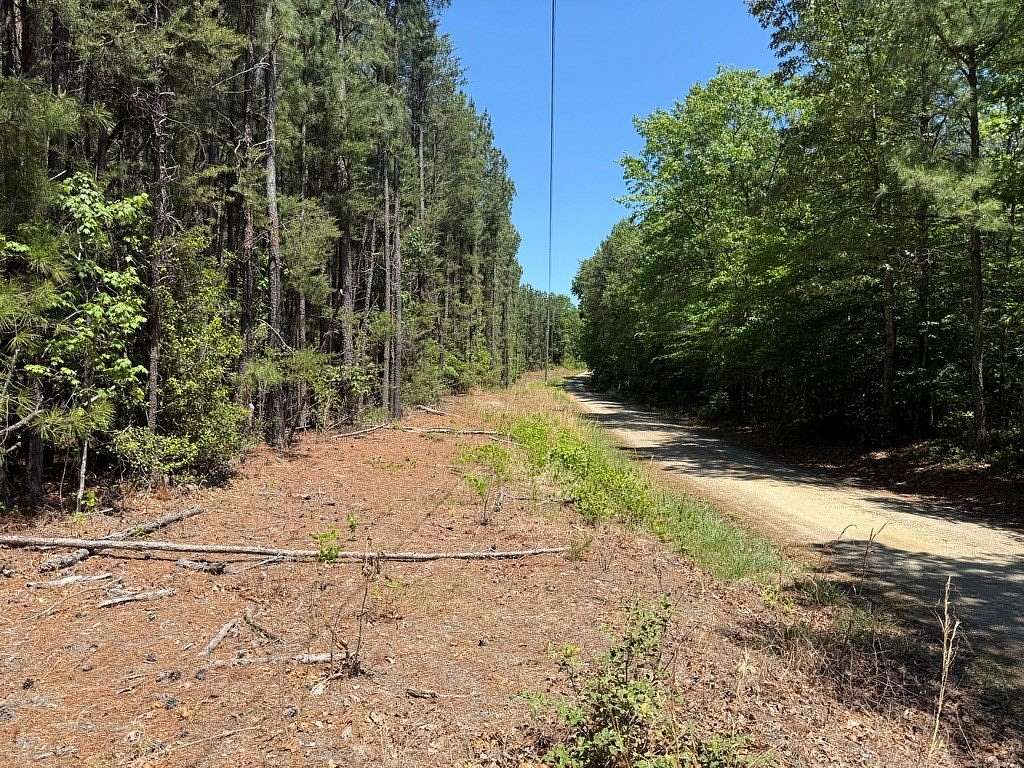 13.6 Acres of Recreational & Residential Land for Sale in Warsaw, Virginia