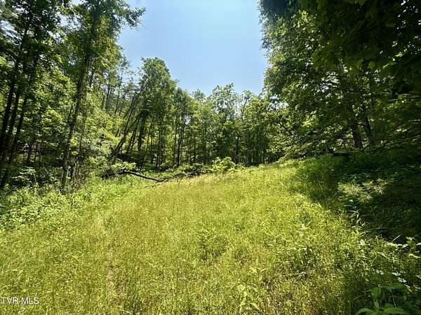 99.9 Acres of Recreational Land for Sale in Mountain City, Tennessee