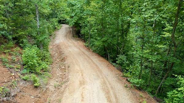 99.9 Acres of Recreational Land for Sale in Mountain City, Tennessee