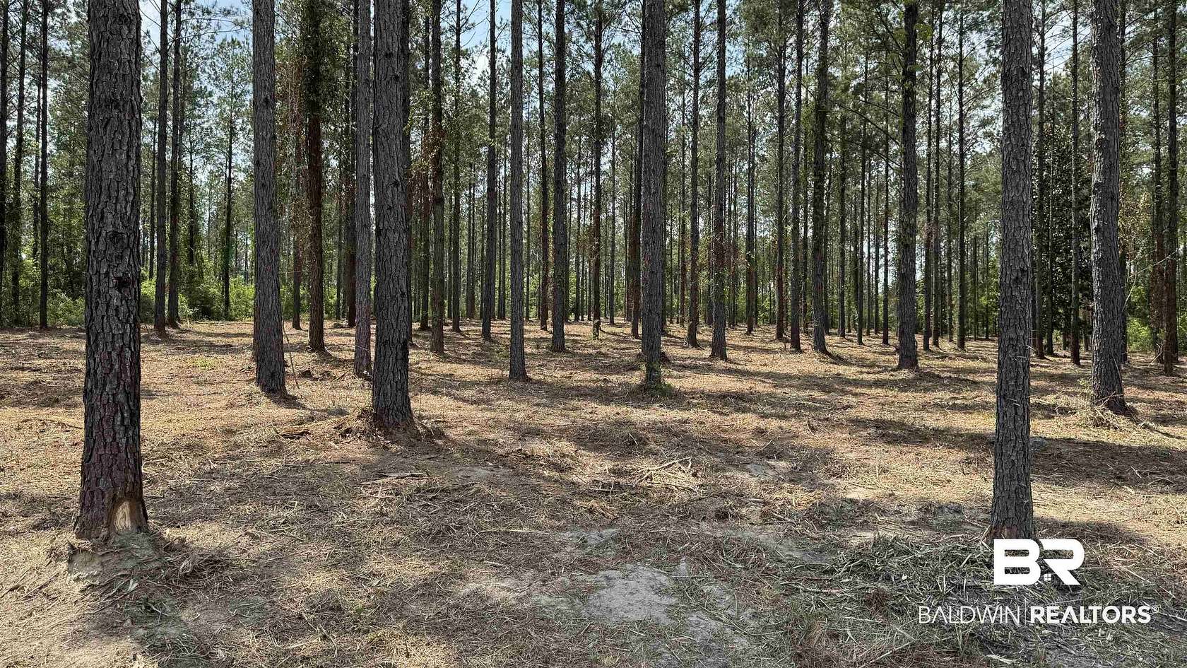 13.5 Acres of Recreational & Residential Land for Sale in Bay Minette, Alabama