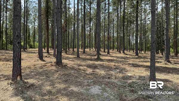 13.5 Acres of Recreational & Residential Land for Sale in Bay Minette, Alabama