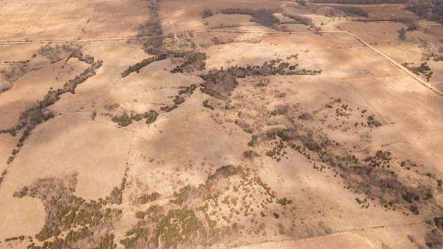 141 Acres of Land for Sale in Alexandria, Nebraska