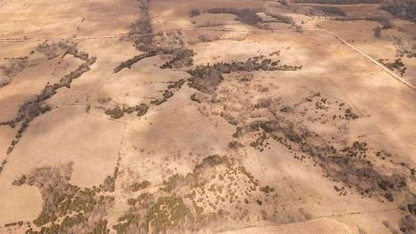 141 Acres of Land for Sale in Alexandria, Nebraska