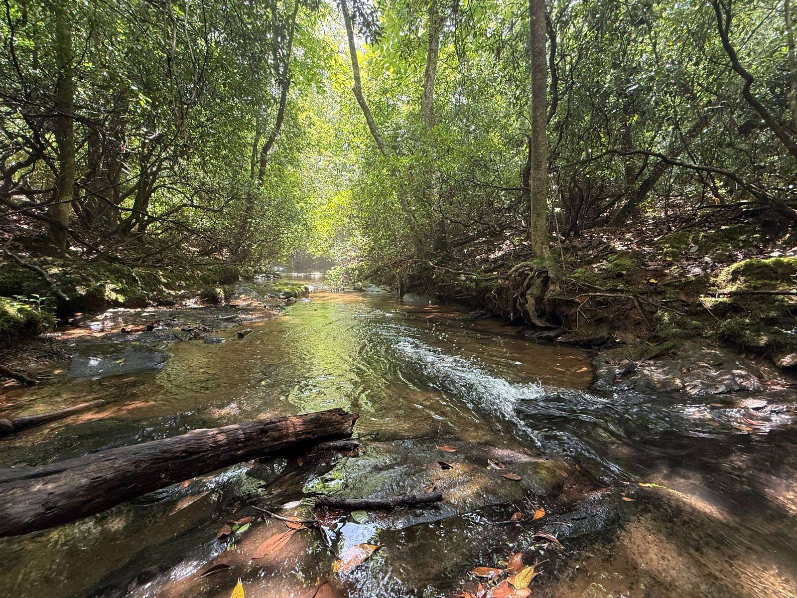 112 Acres of Recreational & Residential Land for Sale in Roanoke, Alabama