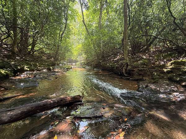 112 Acres of Recreational & Residential Land for Sale in Roanoke, Alabama