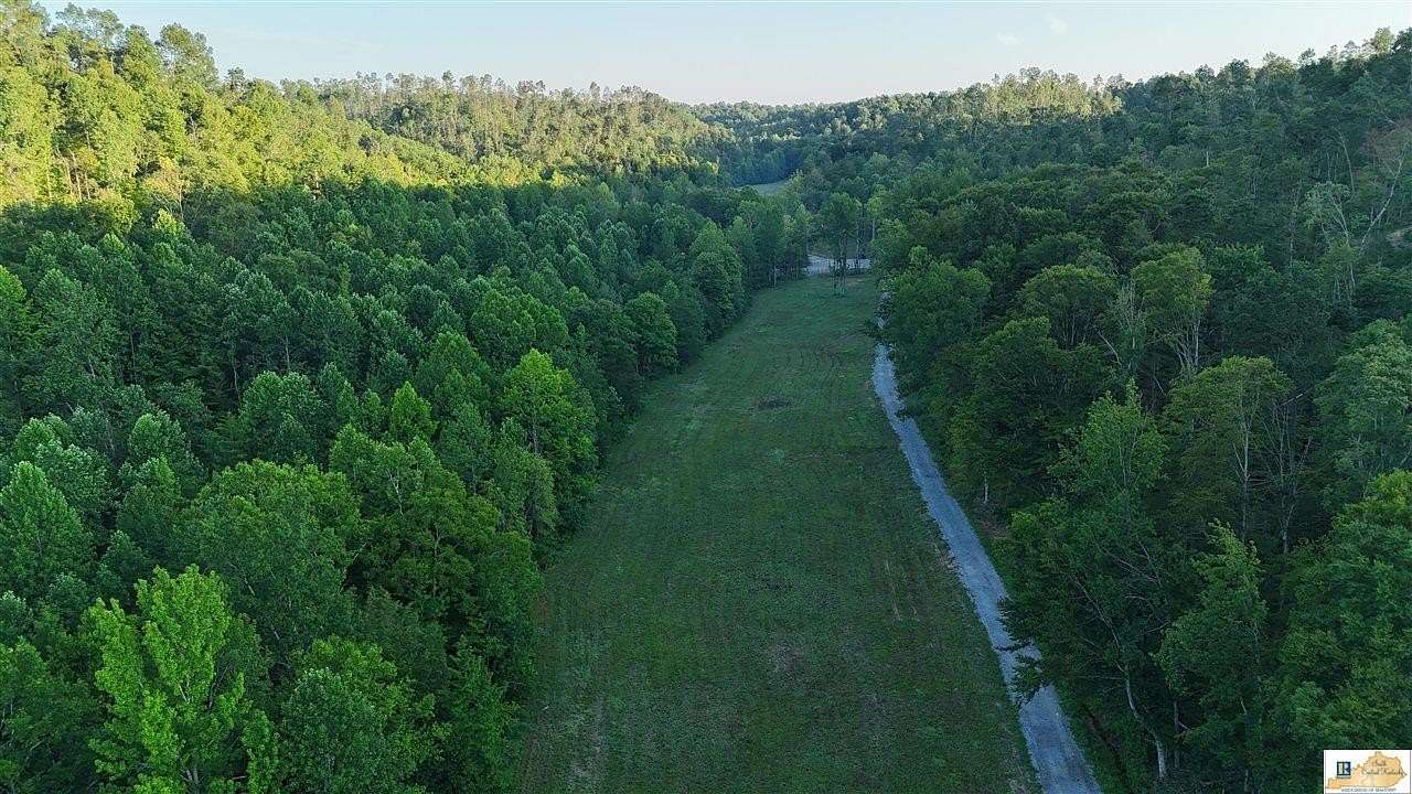 84 Acres of Recreational Land for Sale in Campbellsville, Kentucky