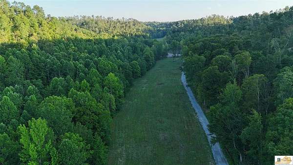 84 Acres of Recreational Land for Sale in Campbellsville, Kentucky