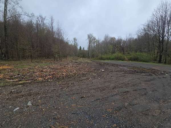 111 Acres of Recreational & Residential Land for Sale in Windsor, New York