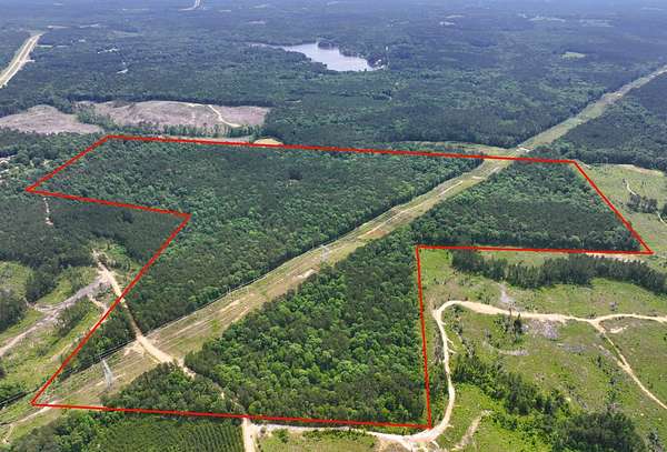 165 Acres of Recreational Land for Sale in Brookhaven, Mississippi