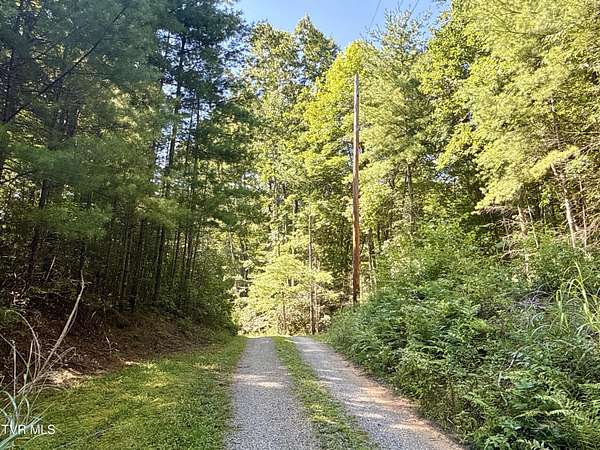 29.4 Acres of Land for Sale in Del Rio, Tennessee