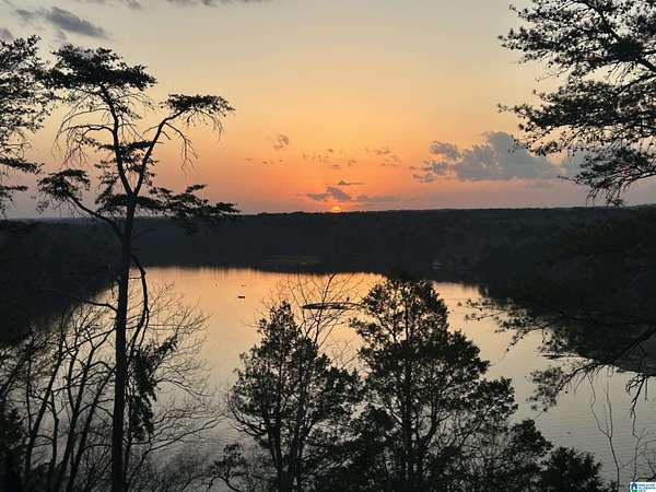 42 Acres of Recreational & Residential Land for Sale in Bessemer, Alabama