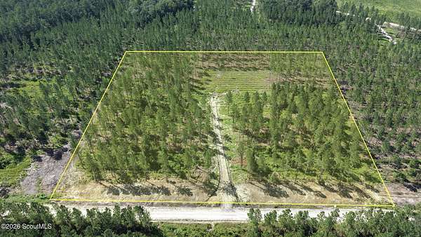 10 Acres of Land for Sale in Brunswick, Georgia