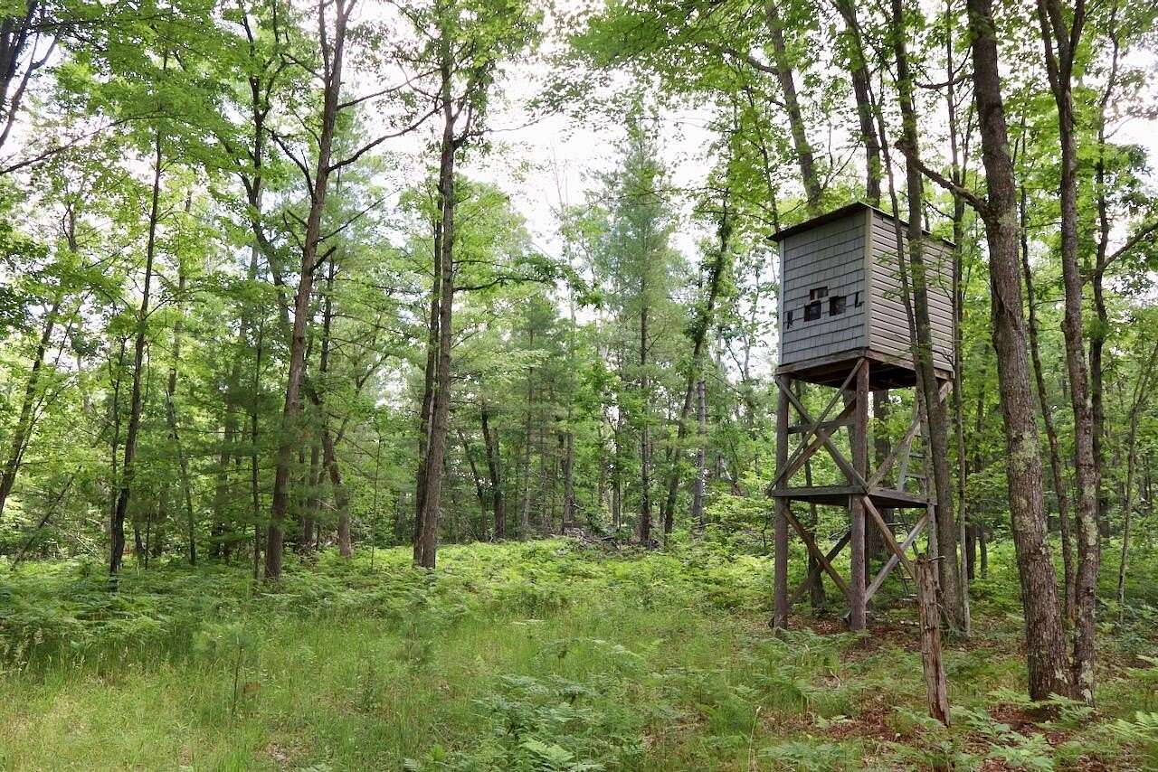 69.2 Acres of Recreational Land for Sale in Harrison, Michigan